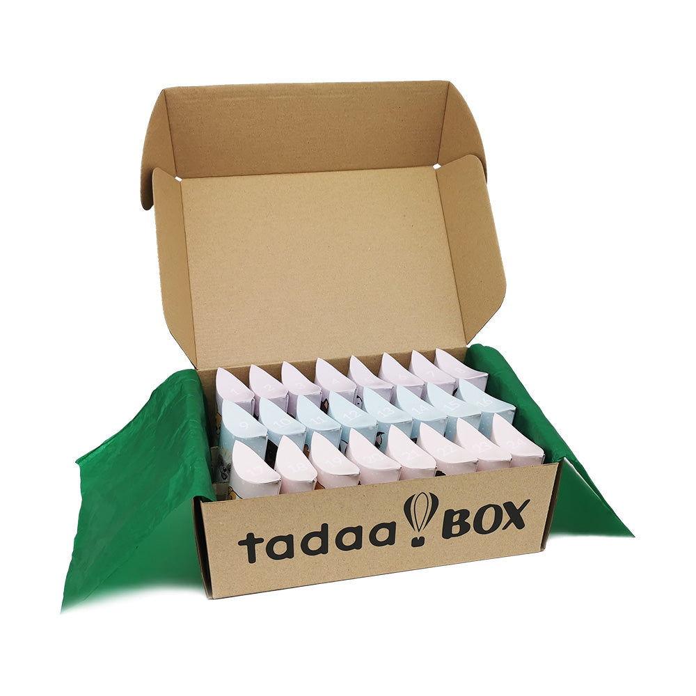 Christmas Surprise Box