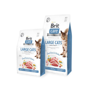 Large Cats (GF)