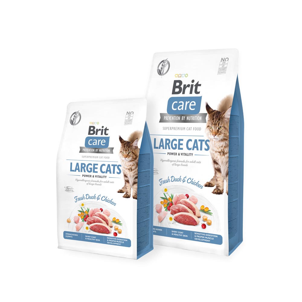 Large Cats (GF)