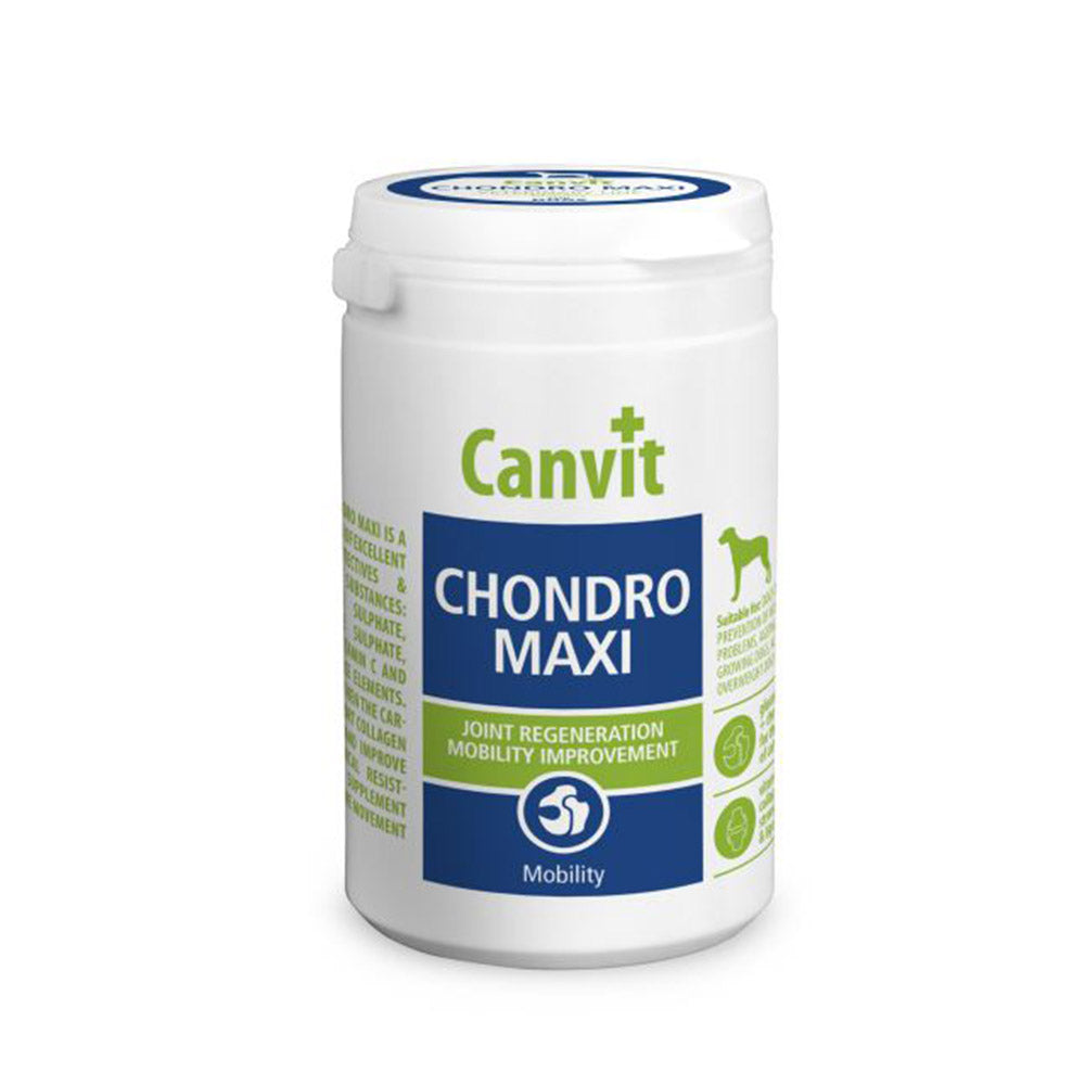 Chondro Maxi (Dog)
