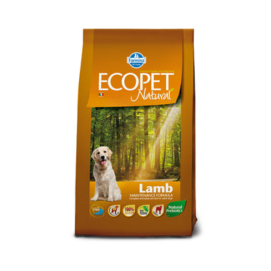 Lamb