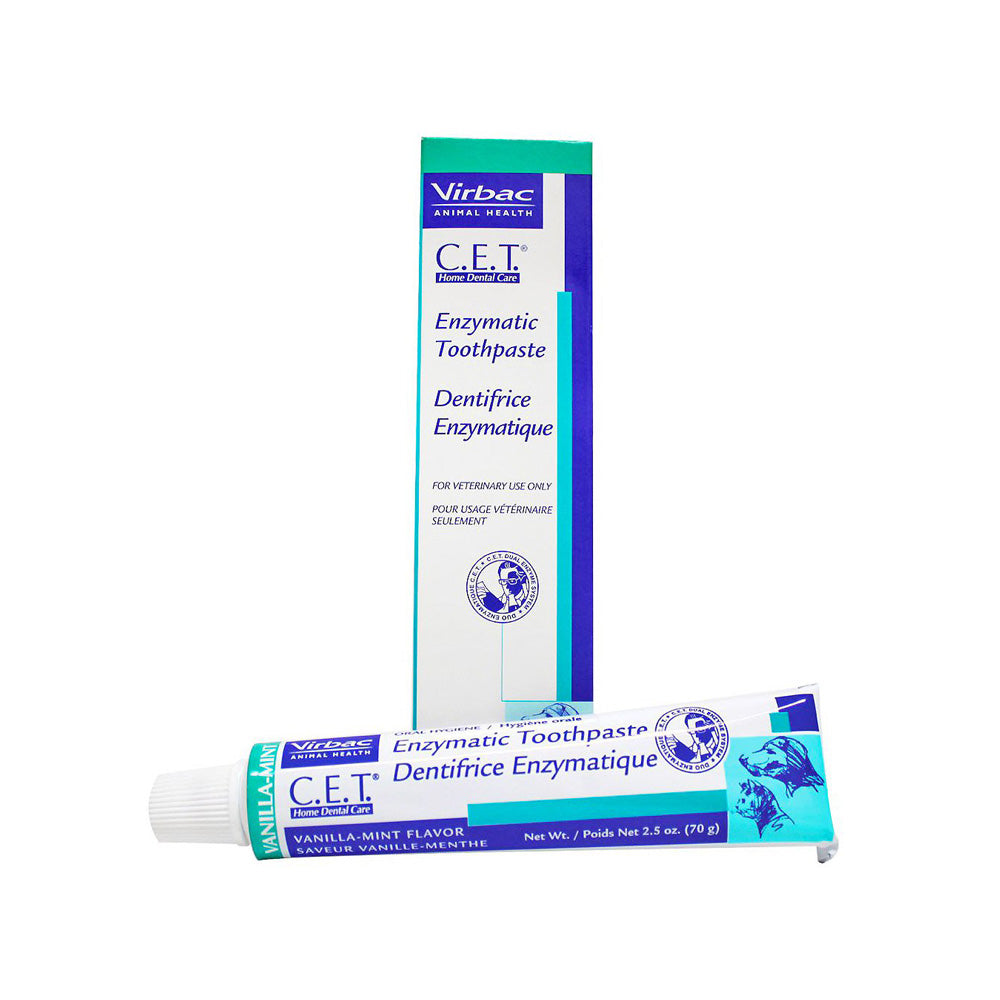 Enzymatic Toothpaste