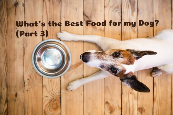 What’s The Best Food For My Dog? (Part 3)