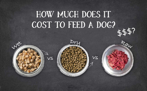 What’s The Best Food For My Dog? (Part 2)