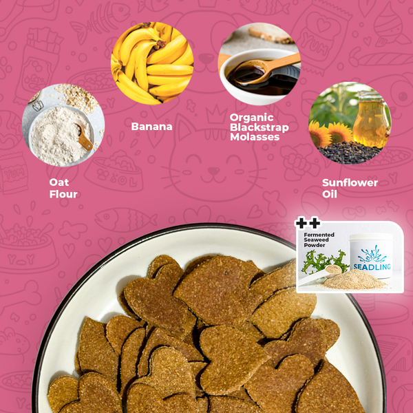 Banana & Molasses Biscuit [Energy Boost] (WF)
