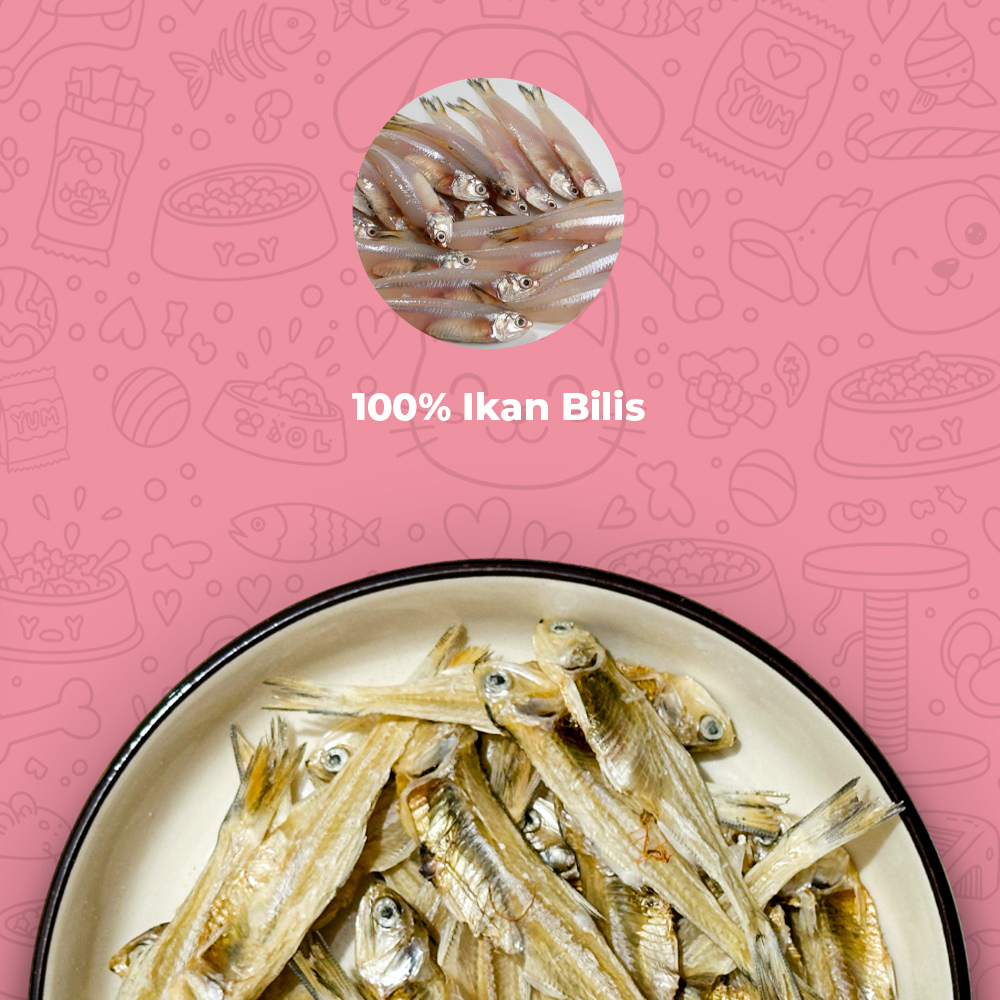 Ikan Bilis