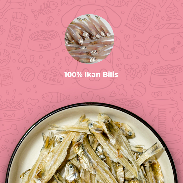 Ikan Bilis
