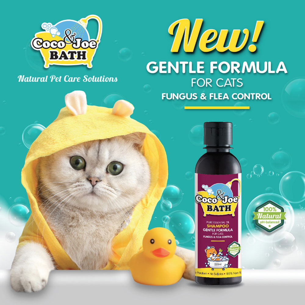 Essential Oil Cat Shampoo [Fungus & Flea Control]