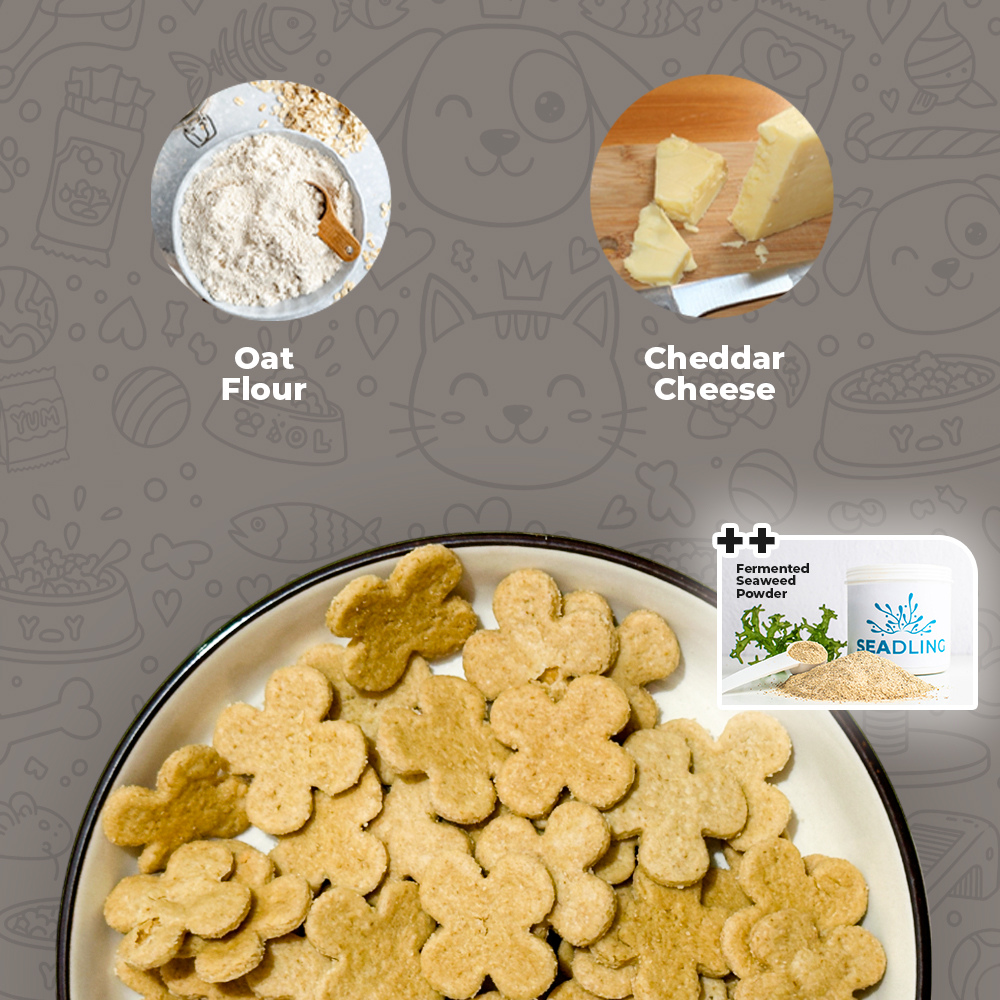 Cheddar & Oats Biscuit [Calcium Boost] (WF)