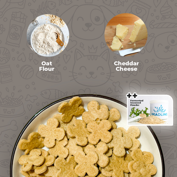 Cheddar & Oats Biscuit [Calcium Boost] (WF)