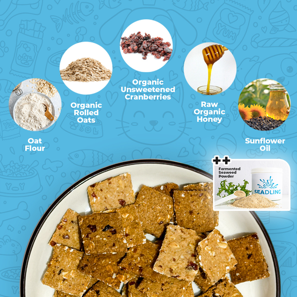 Cranberry & Oats Biscuit [Urinary Boost] (WF)