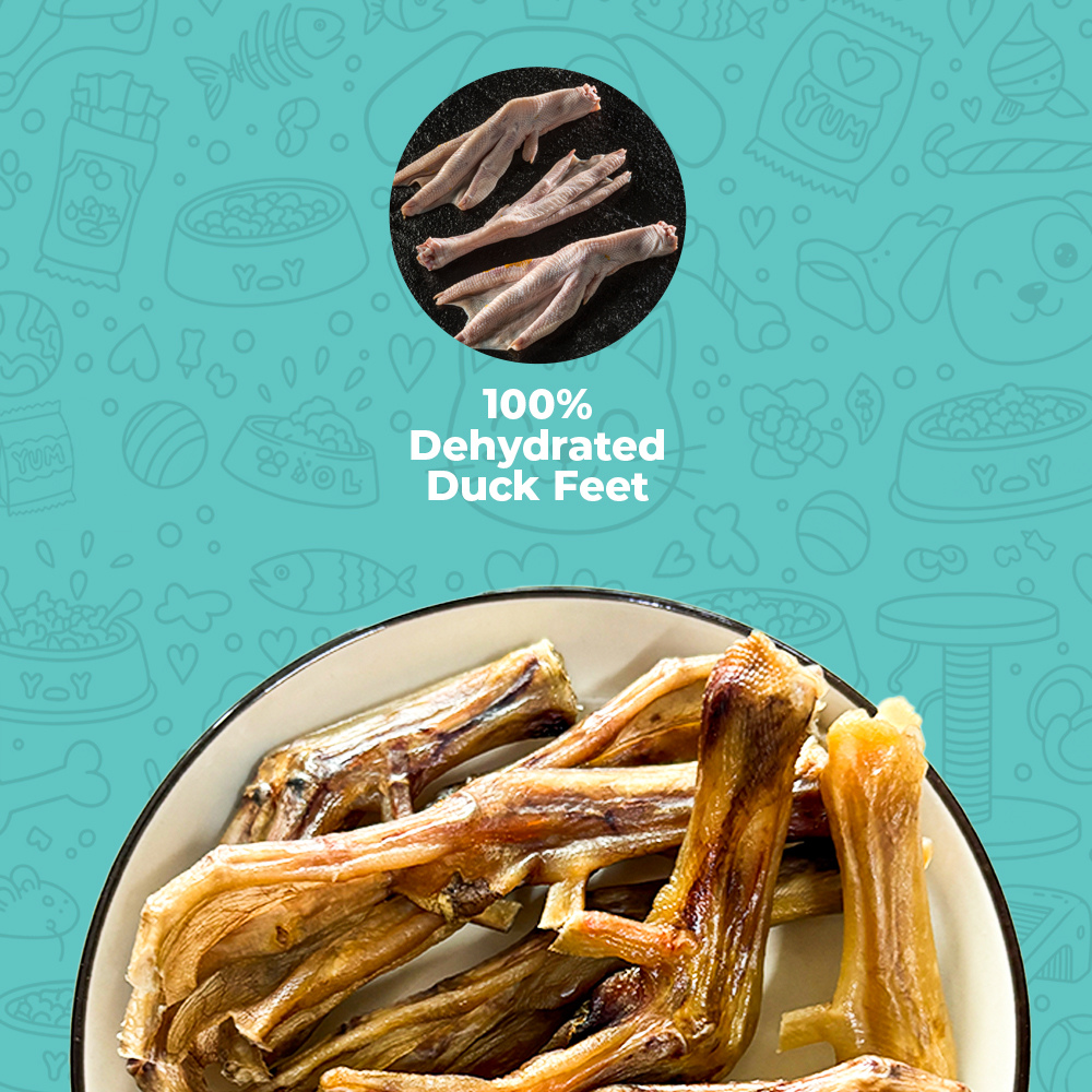 Duck Feet