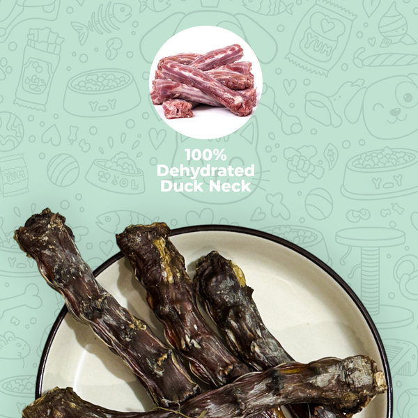Duck Neck