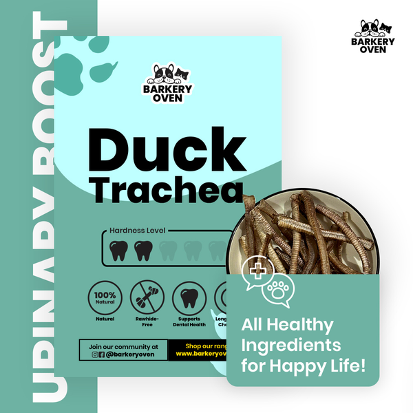 Duck Trachea