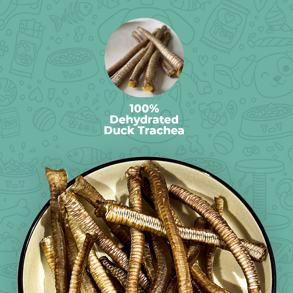 Duck Trachea