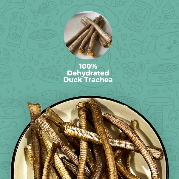 Duck Trachea
