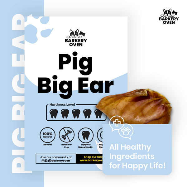 Pig Ear (Big)