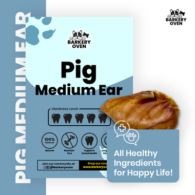 Pig Ear (Medium)