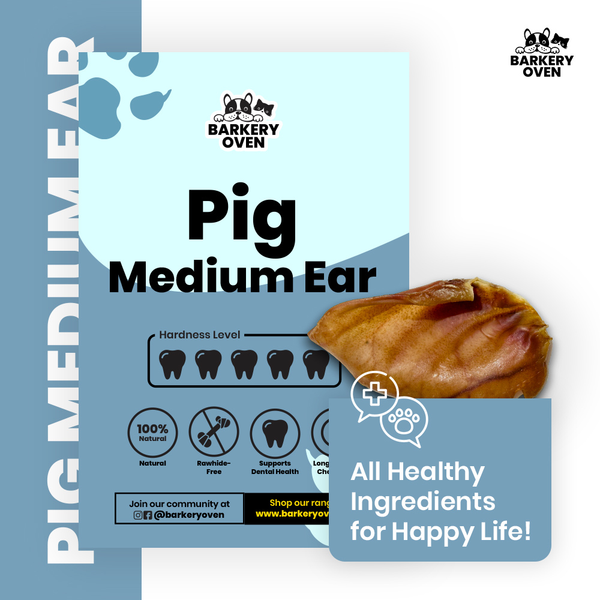 Pig Ear (Medium)