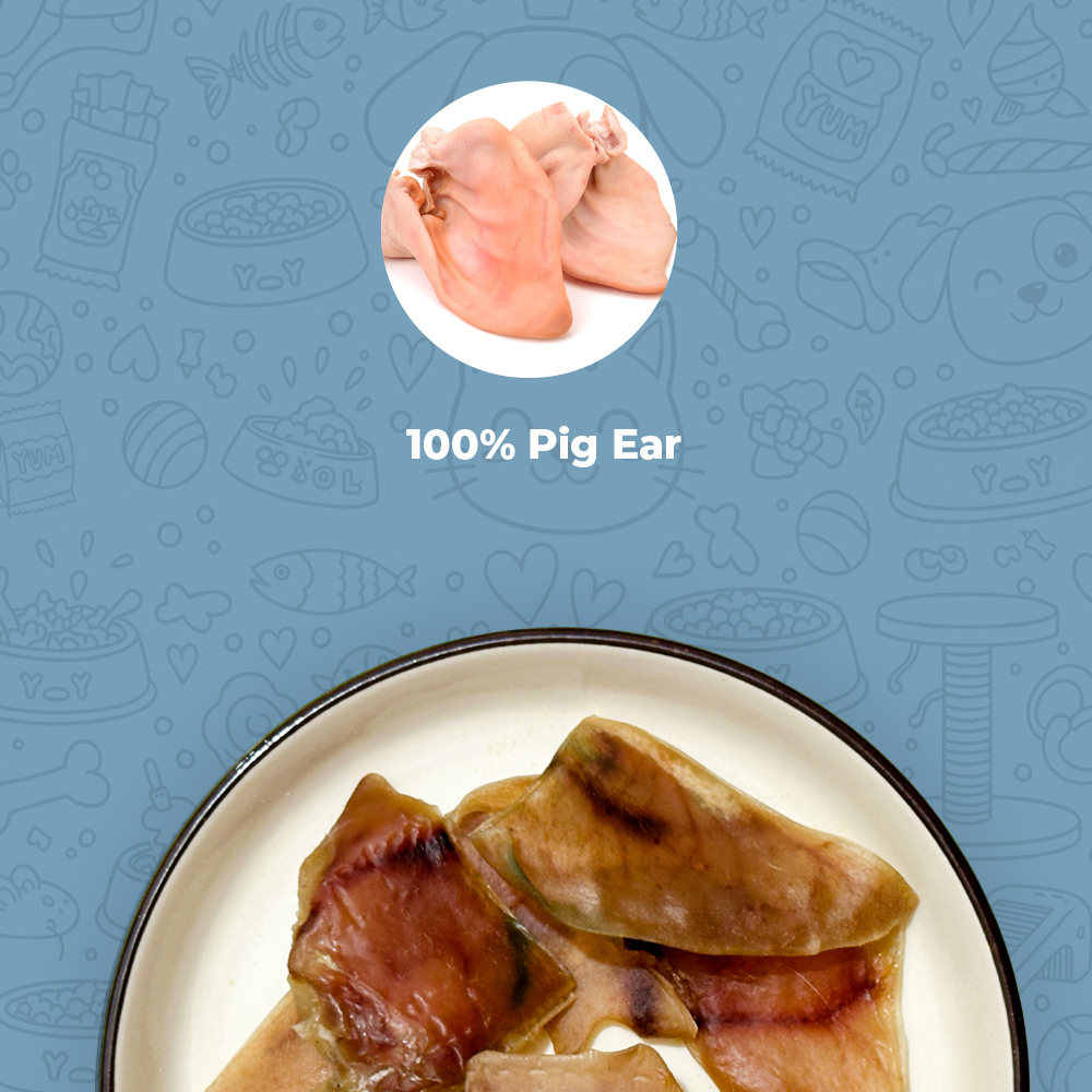 Pig Ear (Medium)