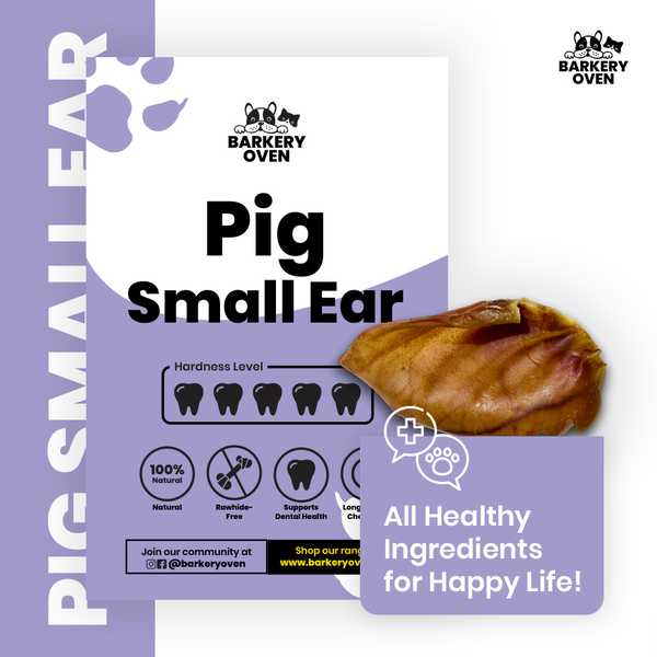 Pig Ear (Small)