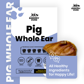Pig Ear (Whole)