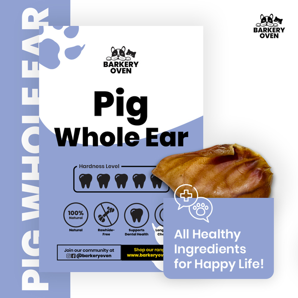 Pig Ear (Whole)