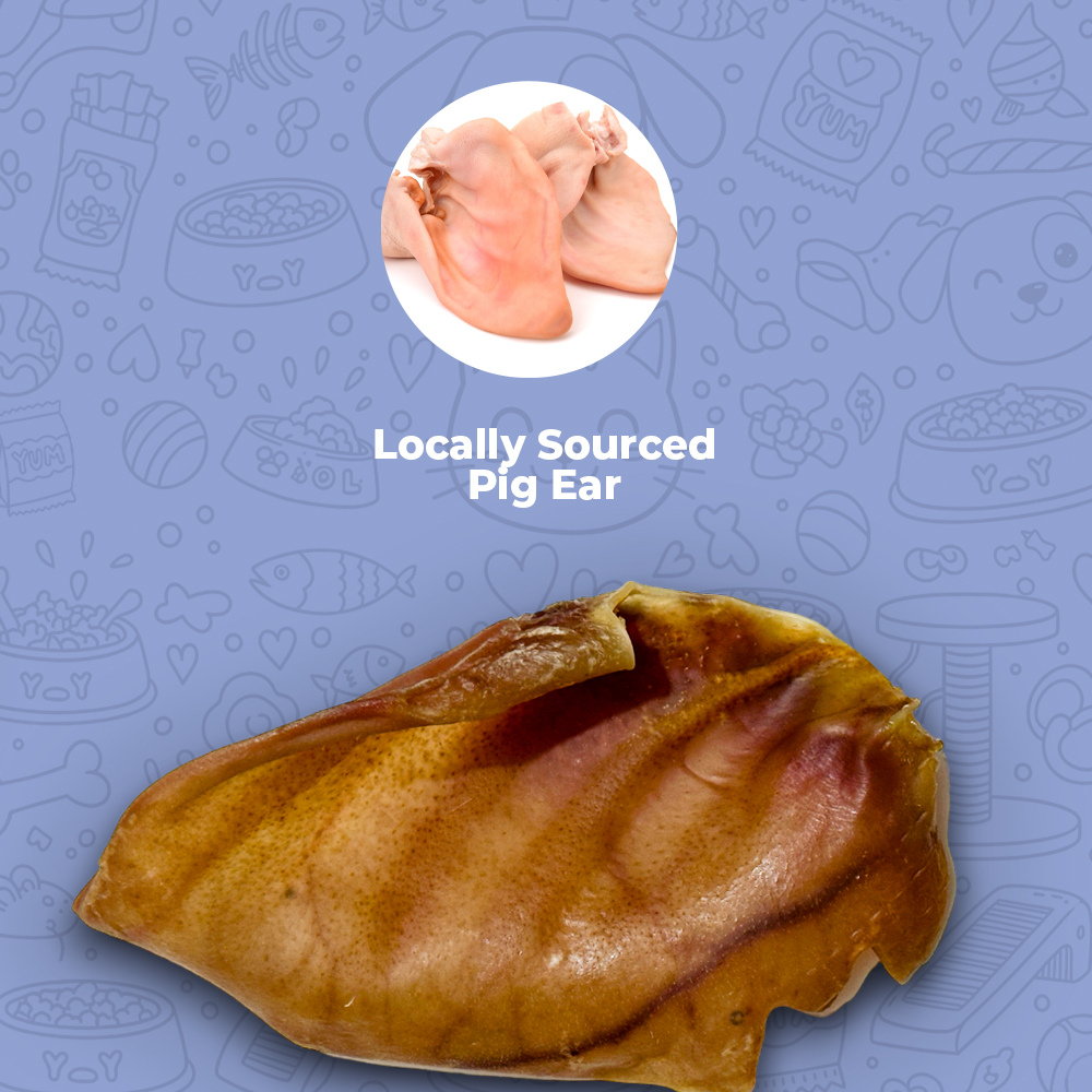 Pig Ear (Whole)
