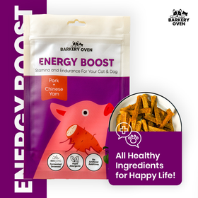 Pork & Chinese Yam [Energy Boost]