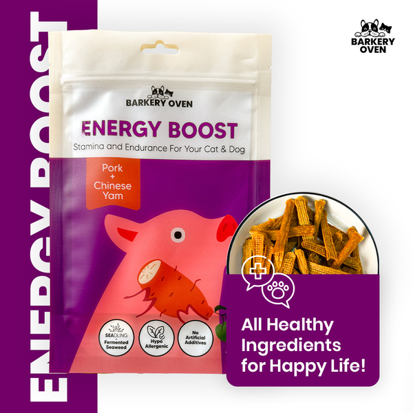 Pork & Chinese Yam [Energy Boost]