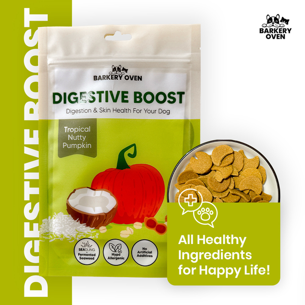 Tropical Nutty Pumpkin Biscuit [Digestive Boost] (WF)