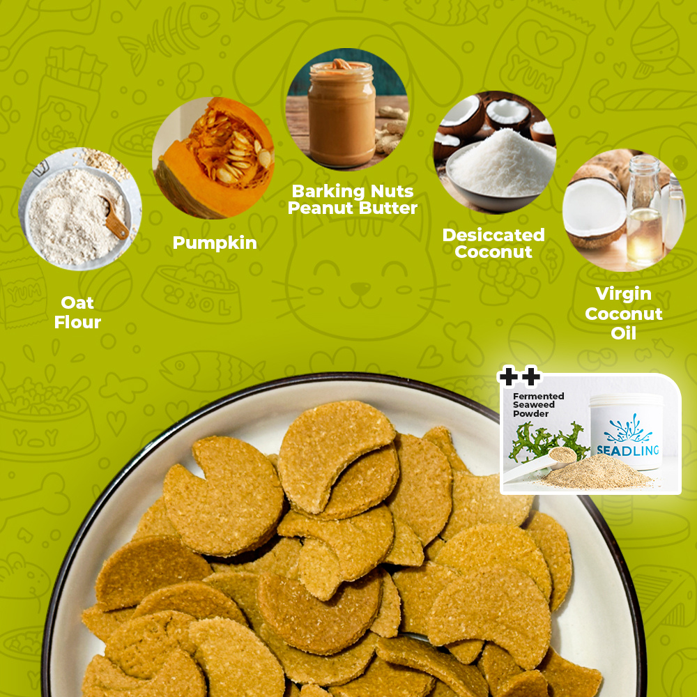 Tropical Nutty Pumpkin Biscuit [Digestive Boost] (WF)