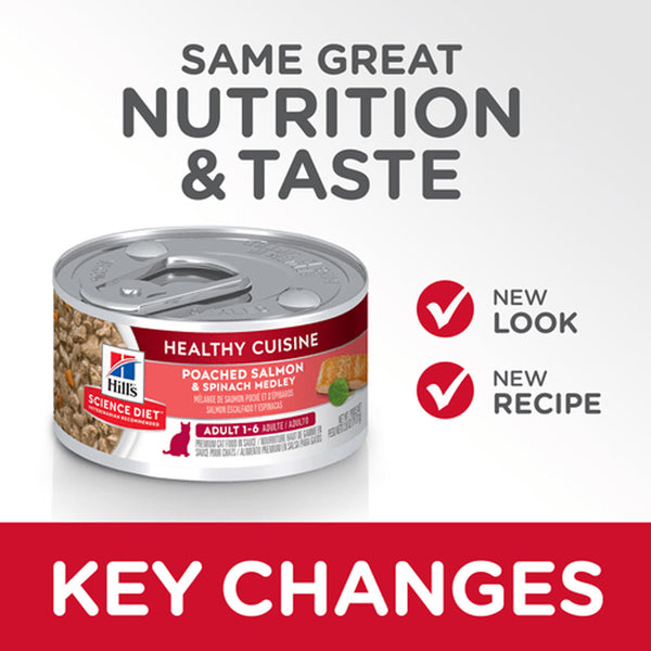 Adult Healthy Cuisine - Salmon