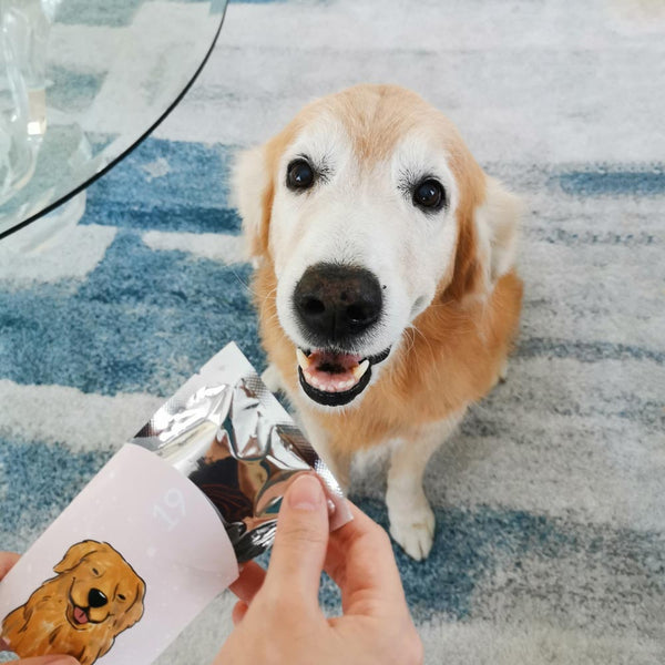 Christmas Surprise Box (Treats Only)