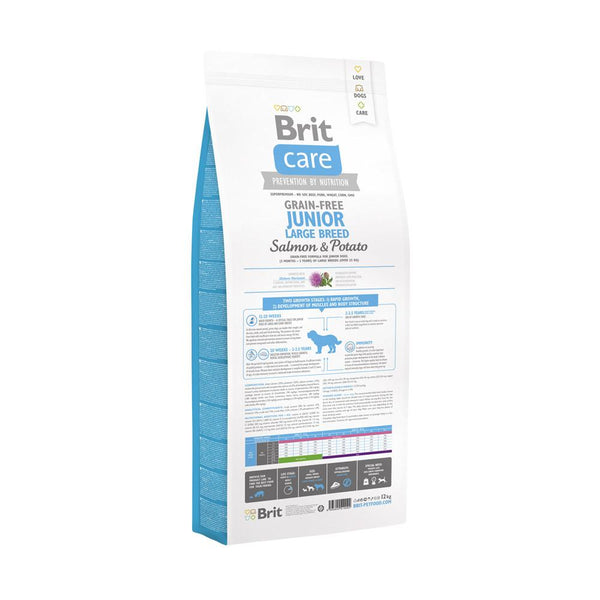 Salmon & Potato Junior Large Breed (GF)