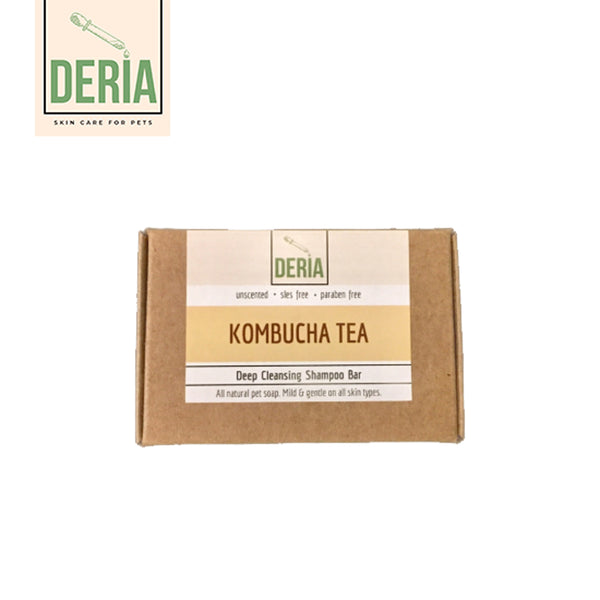 Kombucha Tea Shampoo Bar