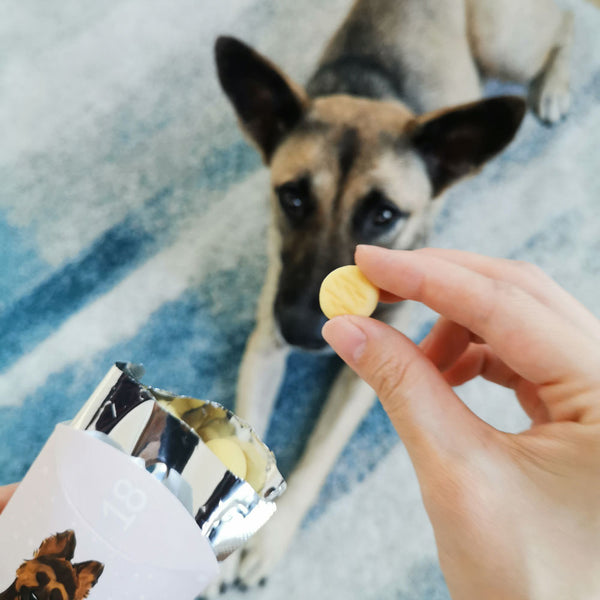 Christmas Surprise Box (Treats Only)