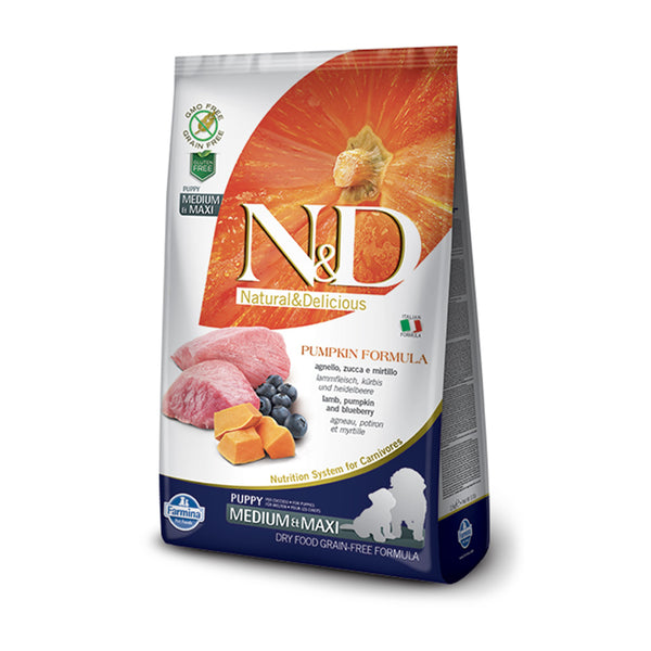 Lamb & Blueberry Puppy - Pumpkin Formula (GF)