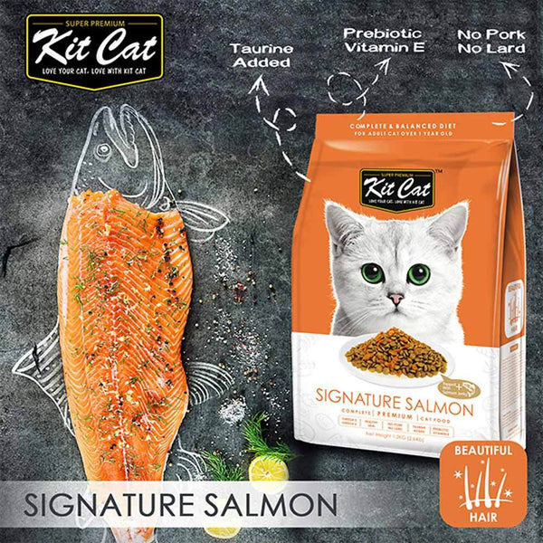 Kit Cat Dry Cat Food Signature Salmon Delivery in Malaysi