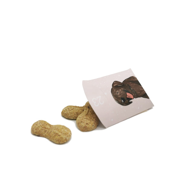 Christmas Surprise Box (Treats Only)