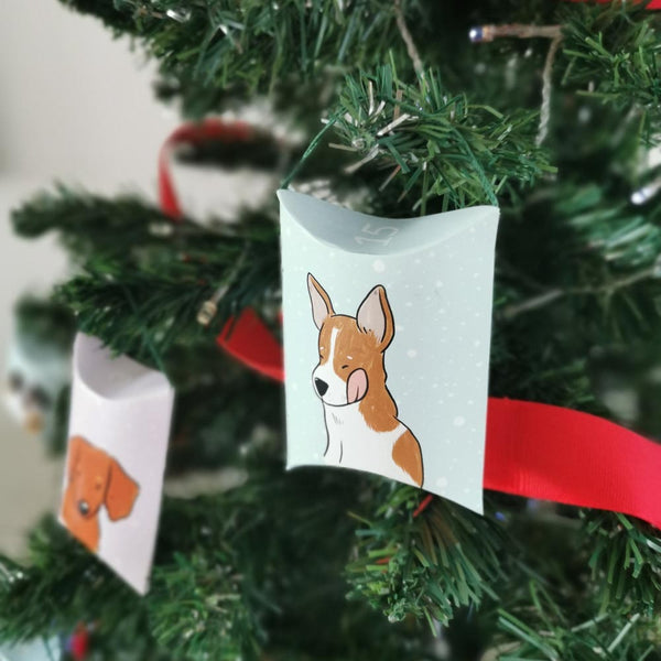 Christmas Surprise Box (Treats Only)