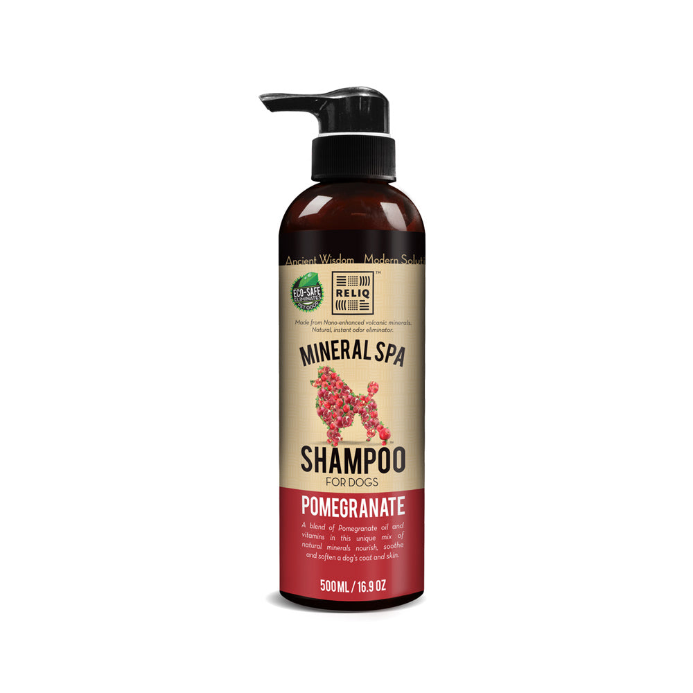 Pomegranate Shampoo
