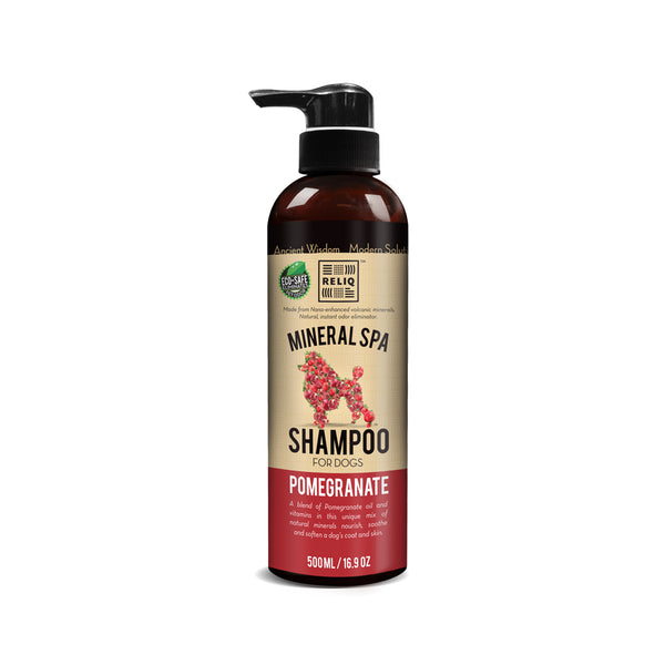 Pomegranate Shampoo [DISCONTINUED]