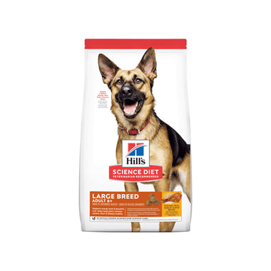 Adult Large Breed 6+