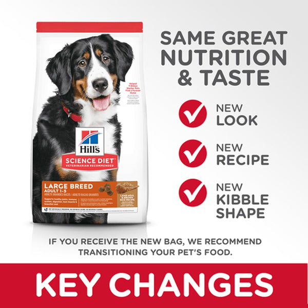 Adult Large Breed - Lamb