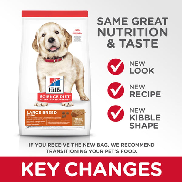 Puppy Large Breed - Lamb