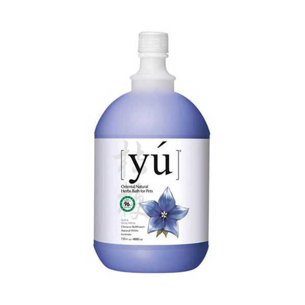 Chinese Bell Flowers Natural White